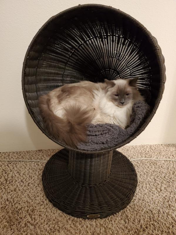 The refined feline hot sale kitty ball bed