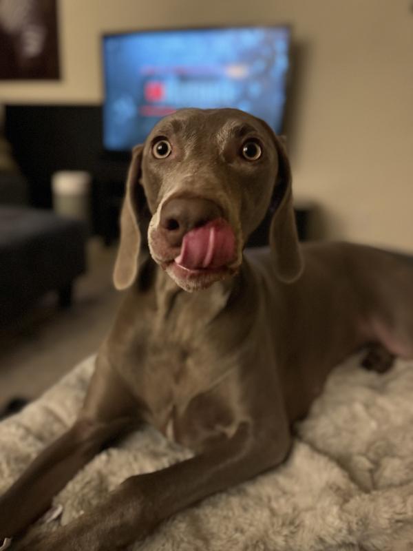 Treats don’t last long enough for photos, but the happy face does!