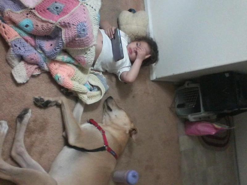 Healthy puppy with her owner