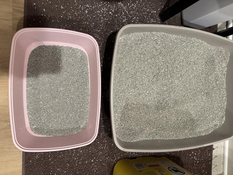 Compared to litter box for adult large cat
