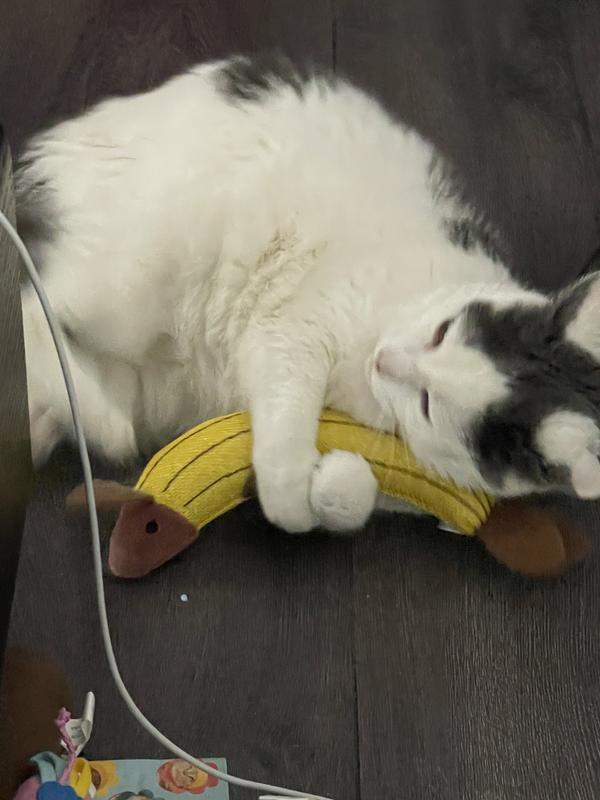 Photo - commentaire&nbsp;8.