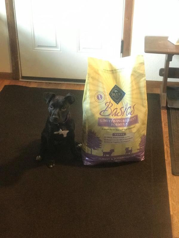 Lulu loves Blue