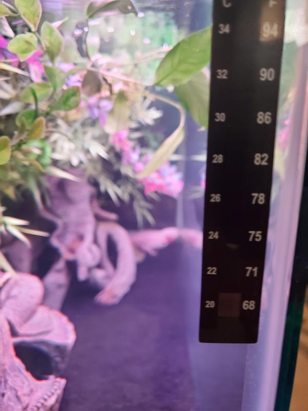 Thermometer applied to my 40 gallon