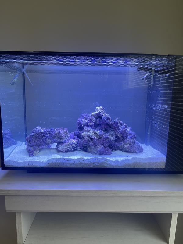 Fluval sea evo 52l hotsell aquarium kit