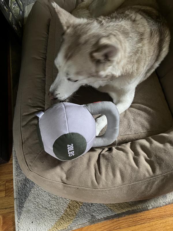 Reddy Purple Kettlebell Durable Dog Toy & Medium Size