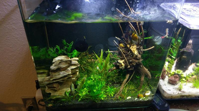 imagitarium 3.7 gallon filters