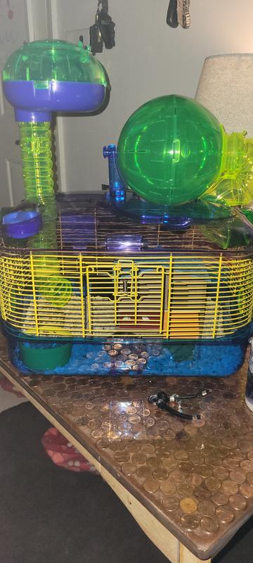 Lil' Buddy's favorite house :)