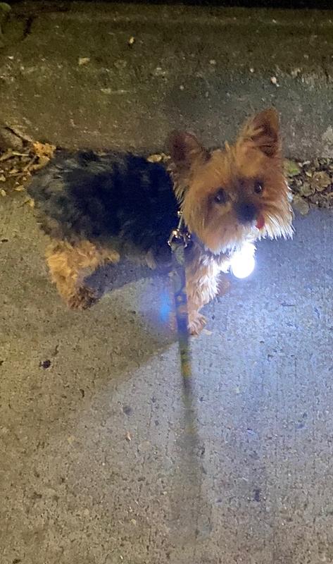 Photo - commentaire&nbsp;5.