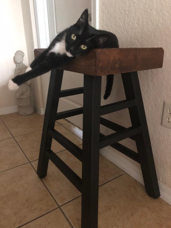 So Phresh Jute Cat Litter Mat & Paw Cleaner 24"x36"