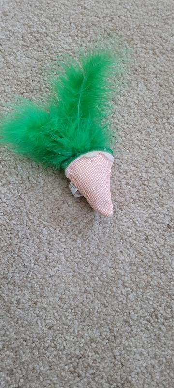 Carrot toy