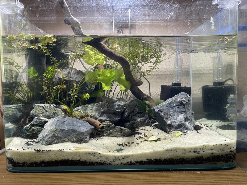 New Setup