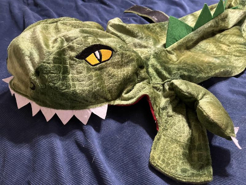 Close up of the dinosaur head