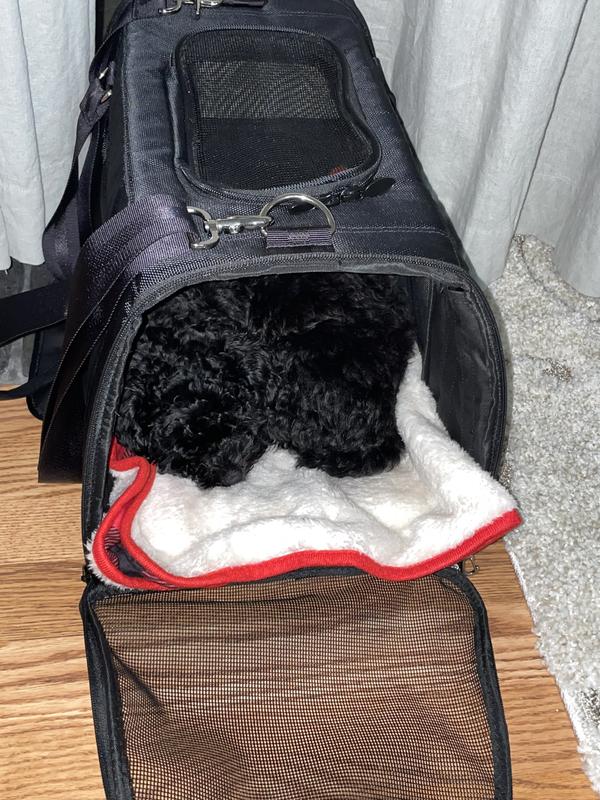 Good2go expandable hot sale pet carrier