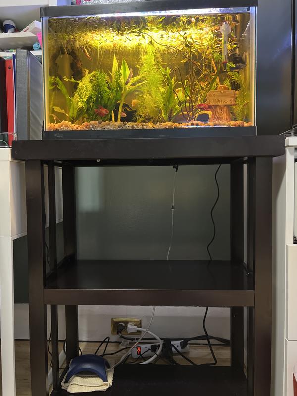 Imagitarium newport wooden tank stand deals