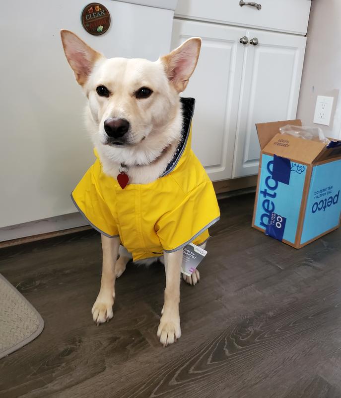 Good2go reversible dog store raincoat