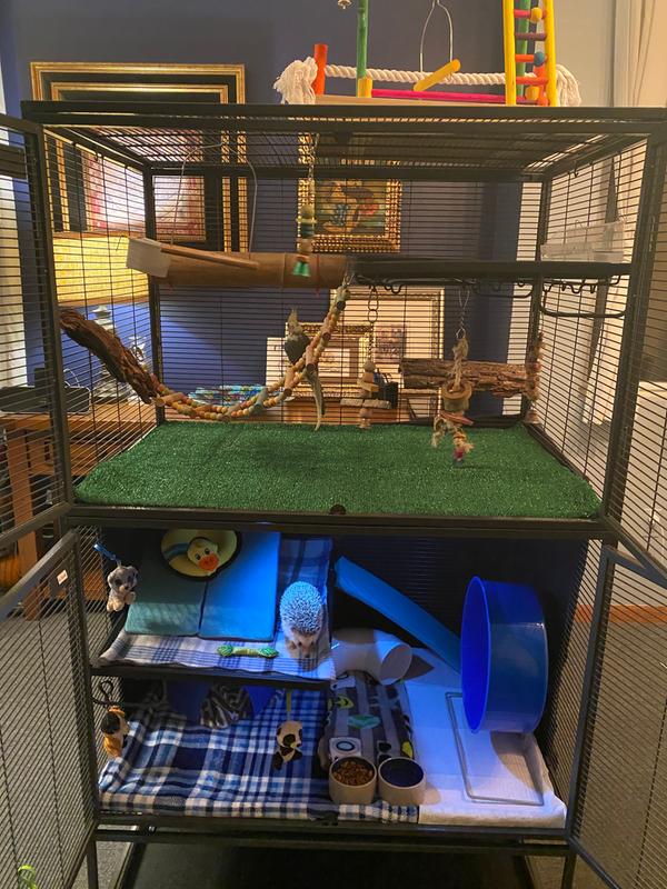 Critter nation cage double sale