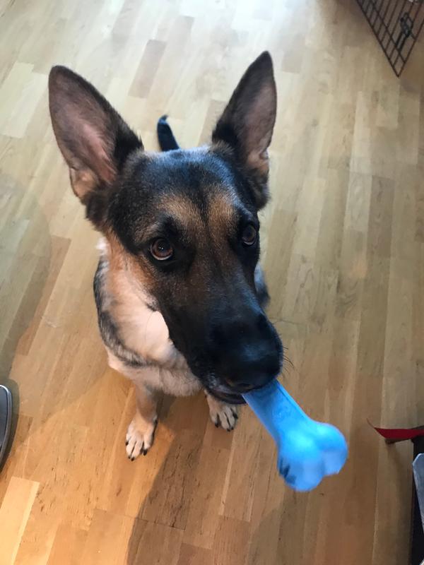 Duchess’ favorite bone!