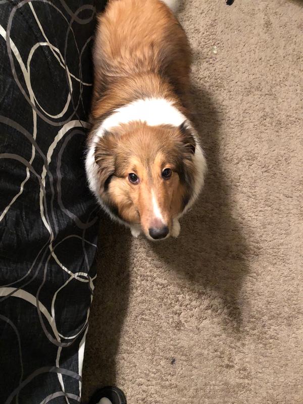 Photo - commentaire 3.