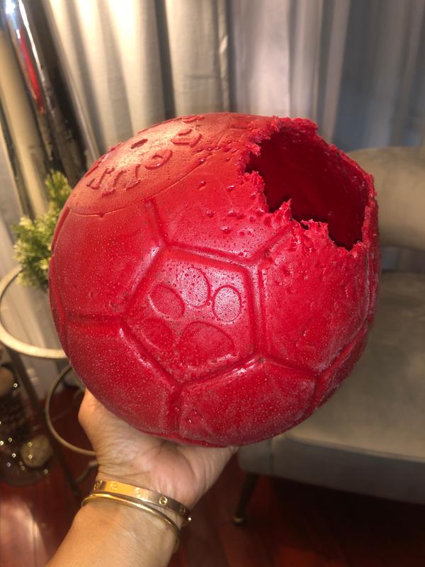 jolly soccer ball petco