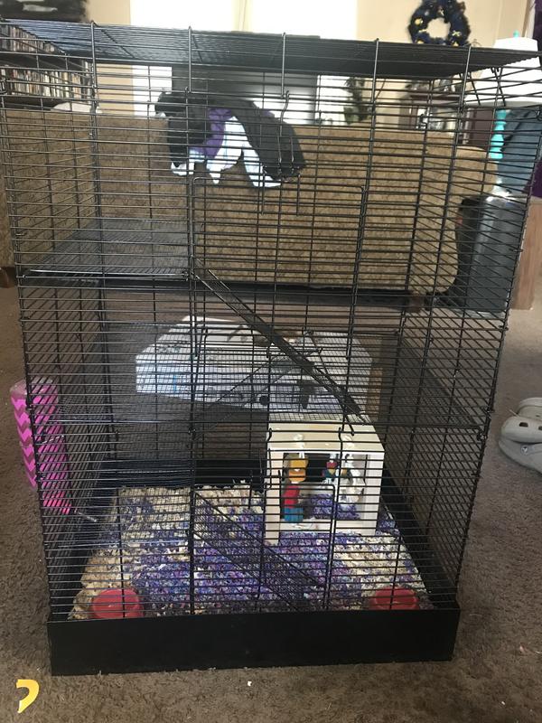 Rat manor shop cage