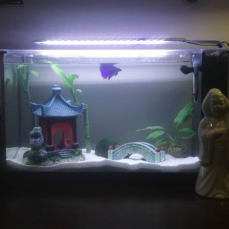 white aquarium sand