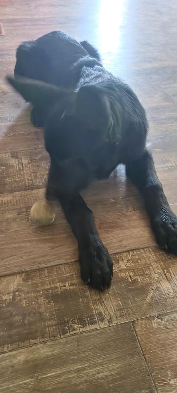 Sad ball