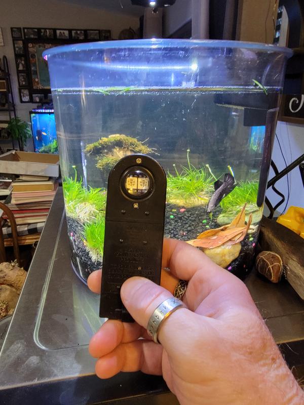 This is the 2 LED light that comes with the tank that stopped working after day 3 or 4. It goes out after 10-15 seconds of being on. It's currently on can't you tell?