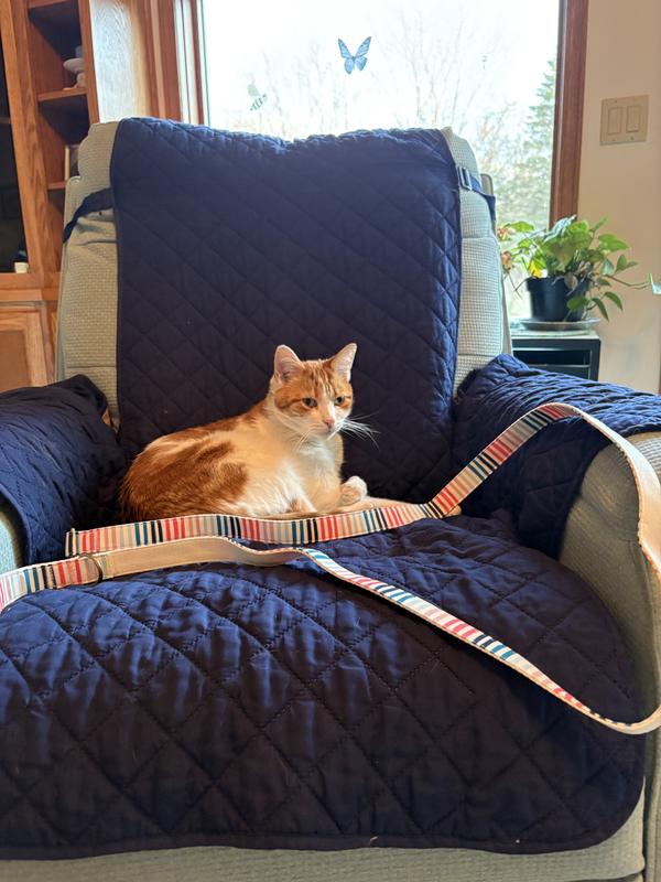 Leash with the escape artist