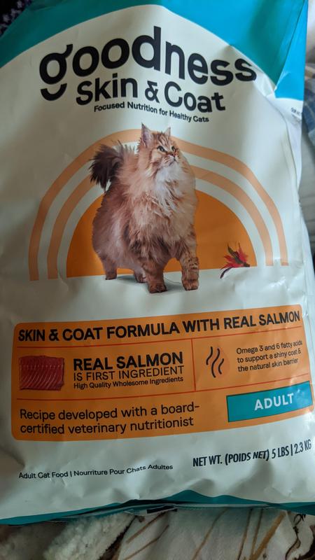 Canidae cat 2024 food petco