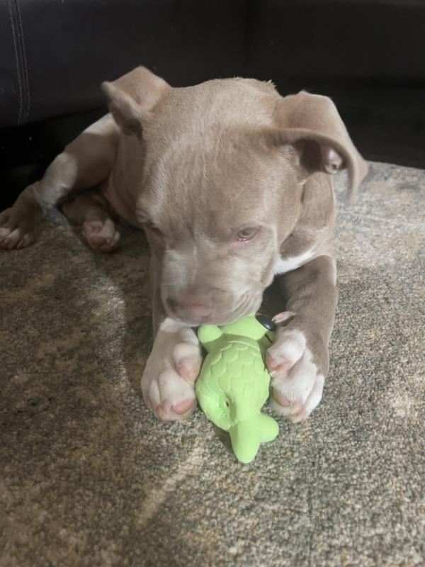 Playing in action