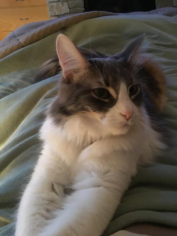 Content Maddy after eating