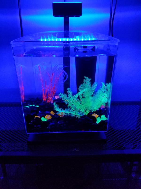 GloFish Blue LED Aquarium Waterproof Light, 8