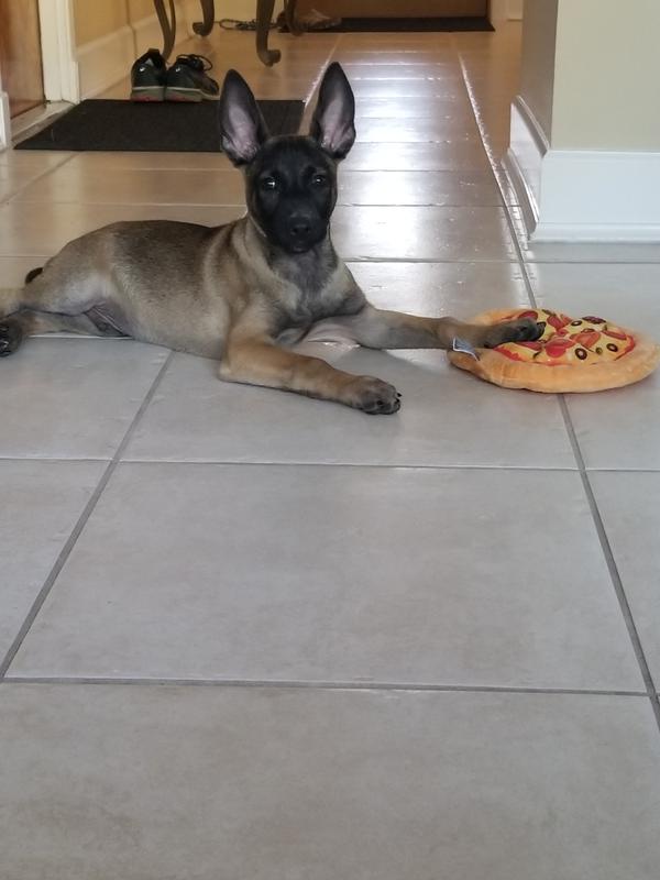 Damien playing "Pizza Man"