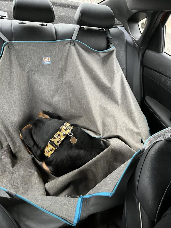 Backcountry x Petco The Hammock Car Seat Cover - Hike & Camp