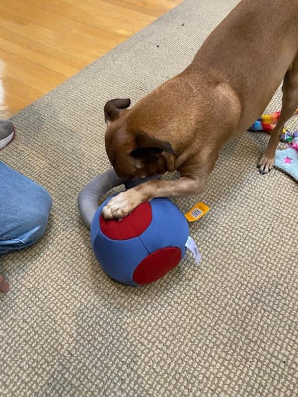 Reddy Blue Durable Kettlebell Dog Toy Medium & Washable