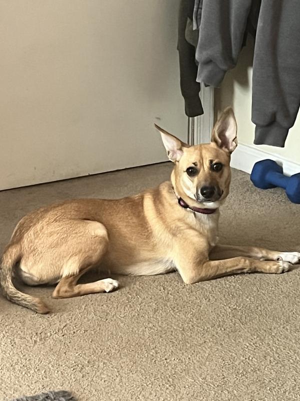 Our Peanut.