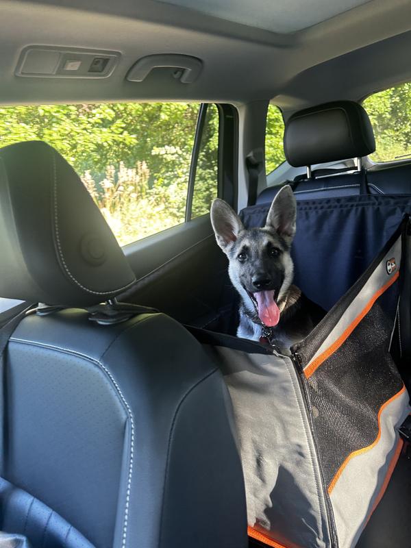 Mya loves it!