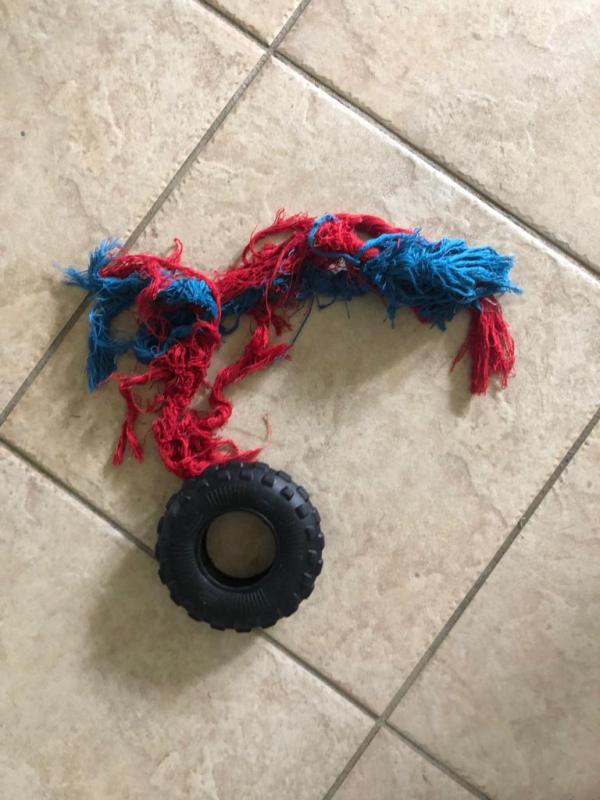 What's left of the toy.