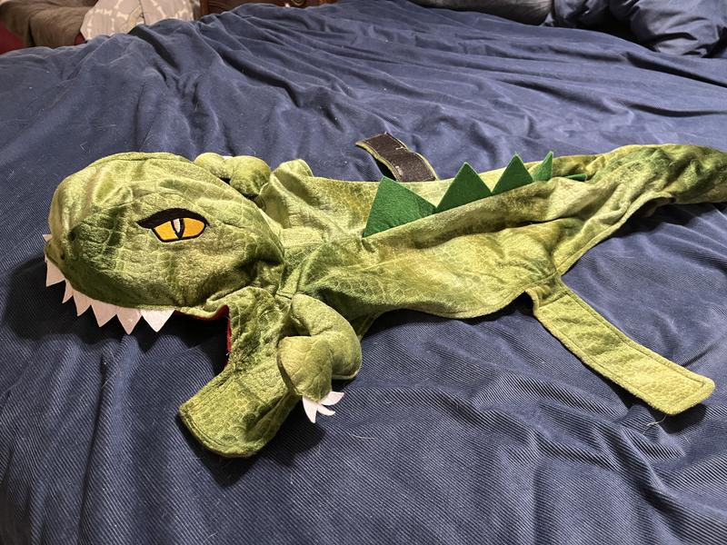 The full costume
