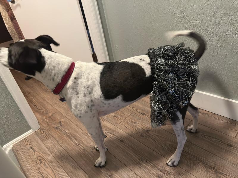 Muse showing off her new outfit.