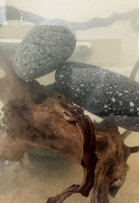 Rocks