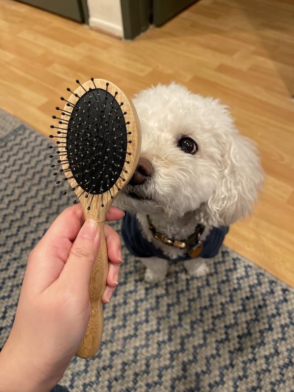 Well & Good Bamboo Cushion Pin Dog Brush, Large Petco