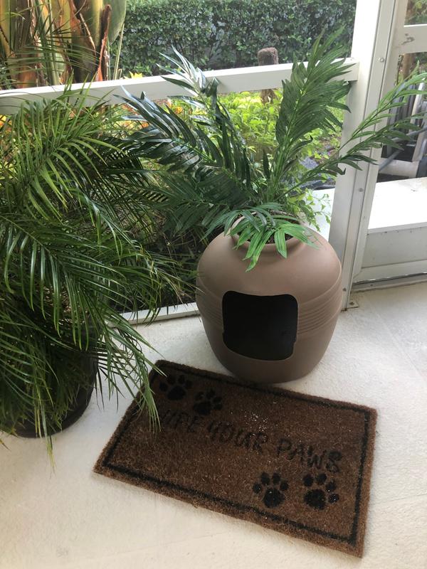 Hidden litter box outlet plant