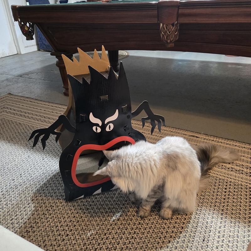 First seeing the new toy