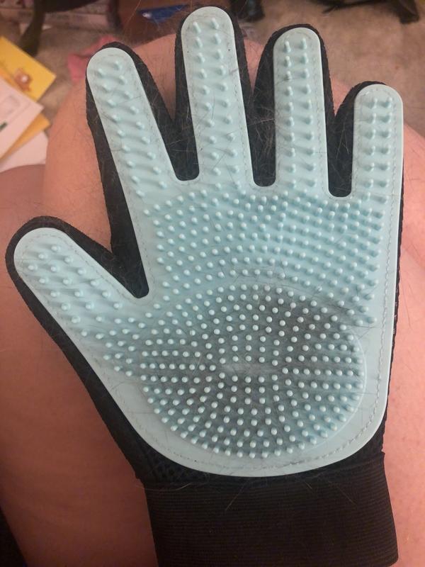Well & Good Grooming Glove for Dogs
