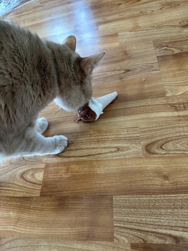 Cat approved