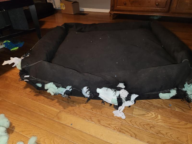 Reddy Indoor/Outdoor Dog Bed, 40" L X 30" W, Black Petco