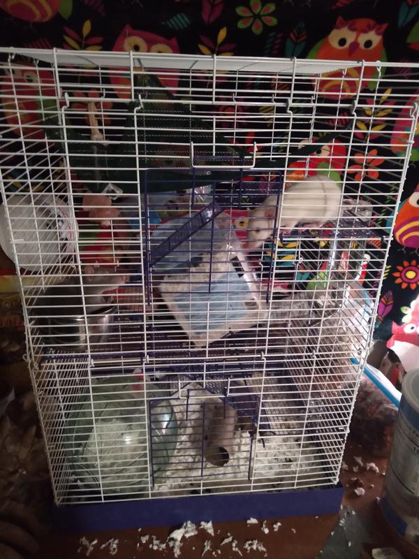 Ware chew outlet proof hamster cage