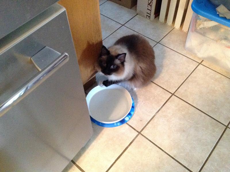 Drinks eater with his foot