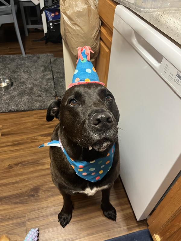 Give me some cake!